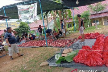 Gubernur Jambi salurkan 82 ekor sapi kurban Idul Adha