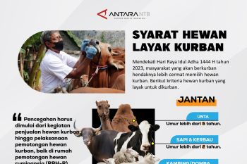 Syarat hewan layak kurban
