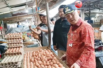 Jelang Idul Adha, Pj Bupati Barsel cek harga sembako di pasaran