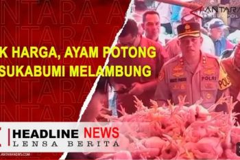 Kapolres Sukabumi temukan harga ayam potong melambung