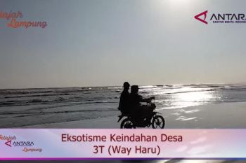 Eksotisme Desa 3T Way Haru