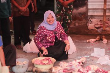 Baznas Sleman menyerahkan hewan kurban sapi ke empat masjid