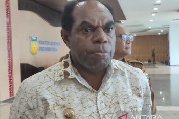 Presiden Jokowi dijadwalkan panen jagung di Papua