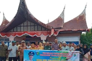Pemnag Pesisir Selatan salurkan bantuan pupuk padi kepada kelompok tani