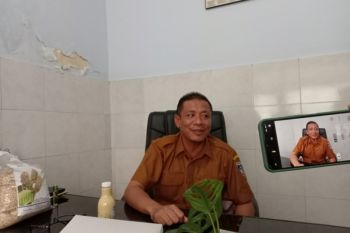 Luas lahan tembakau di Lombok Tengah mencapai 9.500 hektare