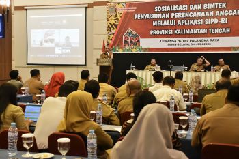 Pemprov Kalteng sosialisasikan perencanaan melalui SIPD-RI