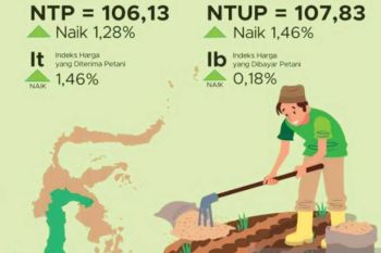 BPS: Kenaikan NTP tingkatkan kesejahteraan petani