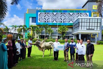 PLN tebar berkah daging kurban pada Idul Adha 1.444 Hijriah