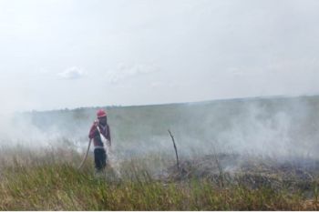 Luas lahan terdampak karhutla di HSS capai 30 hektare