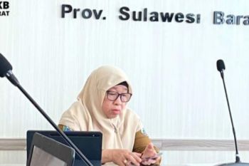 Sebanyak 10 kasus kekerasan perempuan dan anak di Sulbar