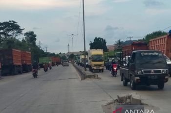 Puluhan truk parkir di Jalan Lintas Sumatera Lampung