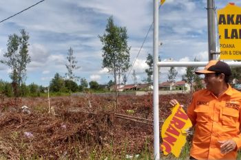 BPBD Palangka Raya pantau lahan rawan terbakar di tiga kecamatan