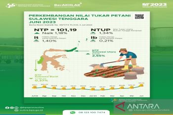 Petani di Sultra bergairah NTP naik pada Juni