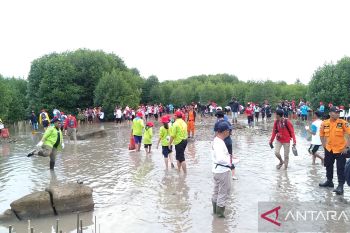 Peserta Jumbara PMR tanam 1.000 mangrove di Lampung Selatan