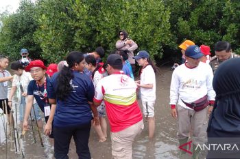 Peserta Jumbara PMR negara sahabat antusias dalam menanam mangrove
