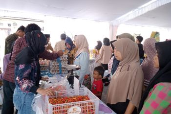 Harga cabai dan daging ayam di Mataram turun