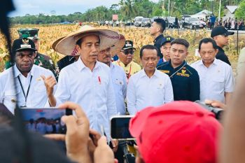 PNG tertarik pelajari langkah Indonesia melakukan hilirisasi industri