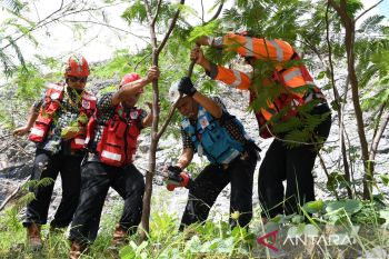 PT Semen Padang siap jadikan Kaliandra Merah subtitusi energi batu bara