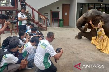 Taman Safari Indonesia target 5.000 orang peserta lomba foto dan video satwa