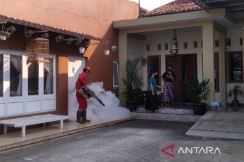 Dinkes Kudus imbau masyarakat waspadai  DBD