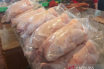 Aprindo Papua sebut pasar ritel alami kenaikan harga daging ayam