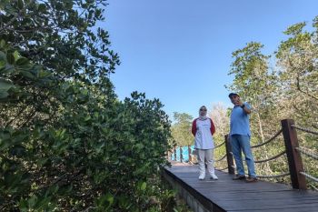 Optimisme Indonesia mampu wujudkan 30 persen konservasi laut