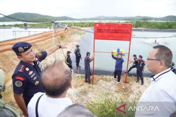 KKP segel dua unit tambak budi daya udang di Batam