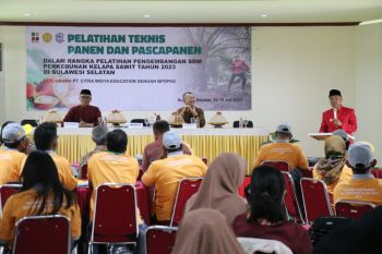 Bupati dorong pengembangan sawit sebagai kekuatan ekonomi Lutim
