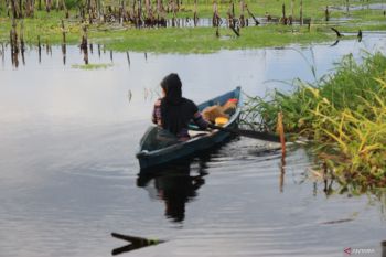 Dinas Perikanan Kalteng maksimalkan Pokmaswas