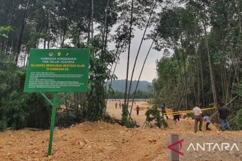 Kepala DKLH Papua tegaskan hutan bakau harus dilindungi