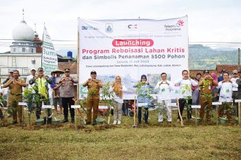 Lestarikan lahan kritis, Pemkab Lebak dan PT Telkom lakukan reboisasi