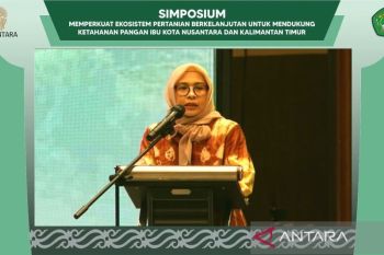OIKN: Ketahanan pangan di IKN Nusantara melibatkan daerah sekitar