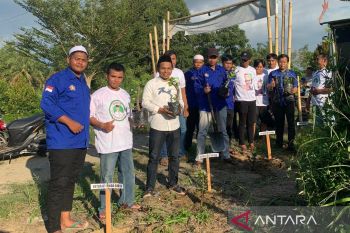 SDG Kalsel gelar do'a bersama dan tanam bibit jambu kristal