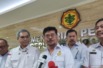 Kementan siap genjot produksi di 500 ribu hektare lahan hadapi El Nino