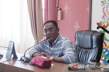 DPRD ajukan tiga calon Pj Wali Kota Palangka Raya