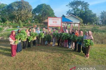 Dukung SDG's, PTPN V Sei Rokan kembali aktifkan Taman Gizi