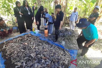 Mahasiswa UB berikan pelatihan pada petani olah limbah menjadi pupuk kompos