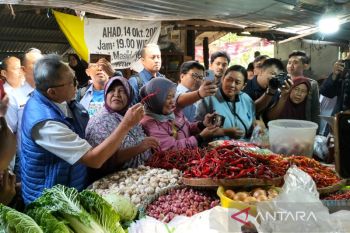 Mendag sebut sejumlah harga bahan pokok mulai stabil