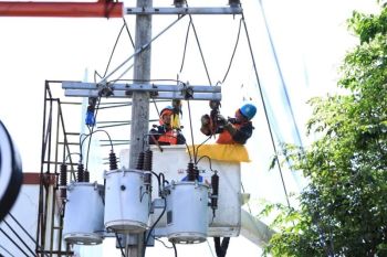 PLN melakukan pemeliharaan jaringan tanpa padam di Banyuwangi