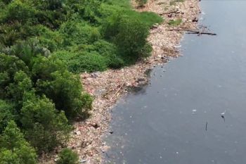 Sampah Pantai Mangrove Muara Angke diperkirakan berasal dari daerah lain