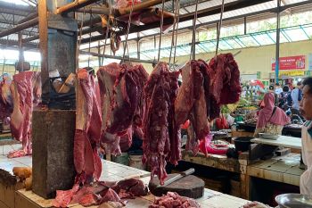 Harga daging di Pasar Gudang Lelang stabil pasca Hari Raya Idul Adha