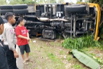 Sopir truk tewas akibat kendaraanya terguling di Sekincau Lampung Barat