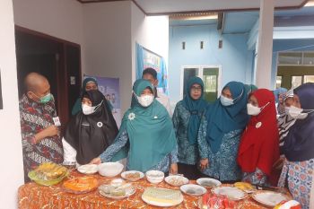 BKKBN : 11 kabupaten di Sulawesi Selatan alami penurunan stunting