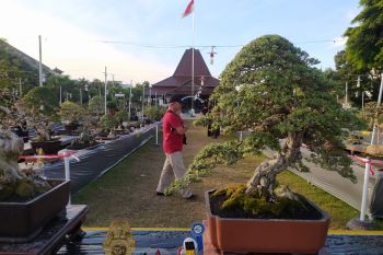 Ratusan peserta dari berbagai daerah ikuti grebeg bonsai Ponorogo