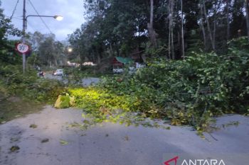 Angin kencang sebabkan kerusakan fasilitas publik di Tanjung Selor