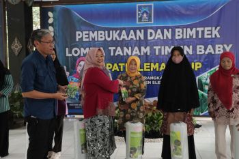 Pemkab Sleman gelar lomba tanam "timun baby" bagi kelompok wanita tani