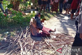 PDIP pecat bacaleg pelaku asusila anak kandung di Lobar