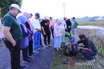 Wako Solok ikuti Sabtu hijau dan menanam pohon bersama di Kota Solok
