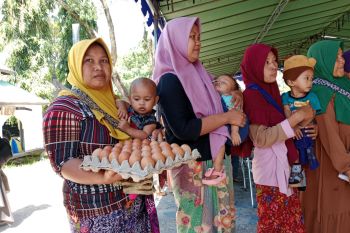 Penurunan stunting di Lombok Tengah perlu dilakukan gotong royong