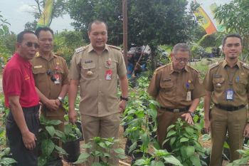Wali Kota semangati anggota KTNA majukan pertanian di Banjarbaru